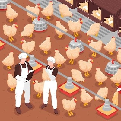 Poultry Industry